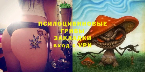 PSILOCYBIN Бугульма